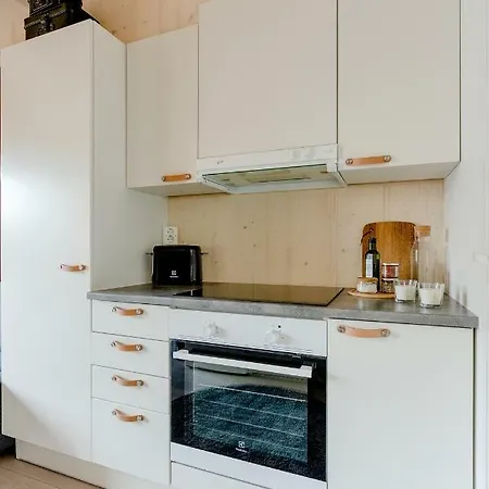Loft With Sauna דירה *